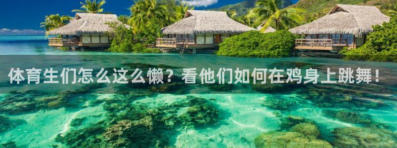 山猫极速体育直播