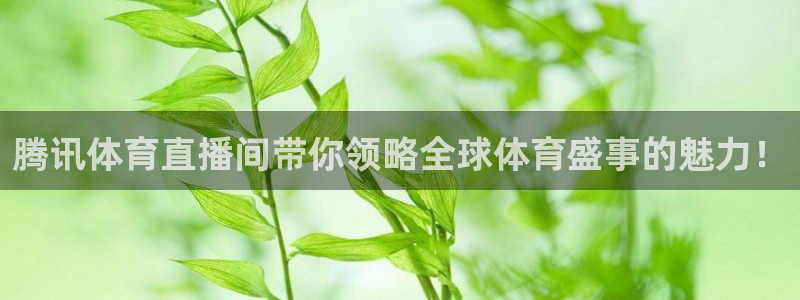 山猫体育直播苹果下载