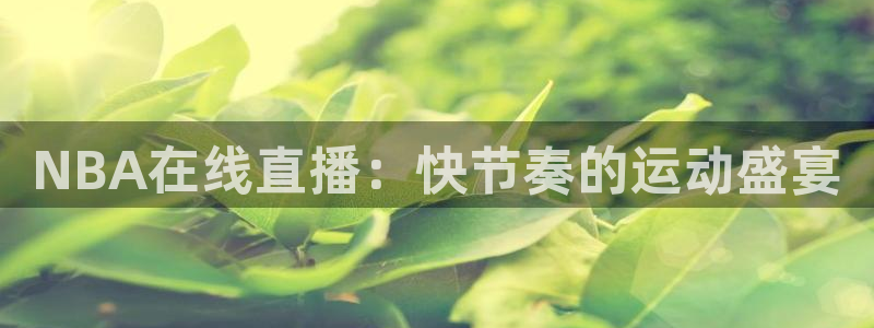 山猫体育足球直播免费观看