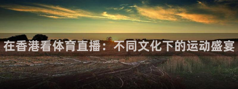 山猫卫星直播体育：在香港看体育直播：不同文化下的运动盛宴