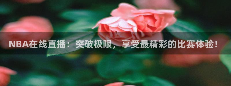 山猫卫星直播体育