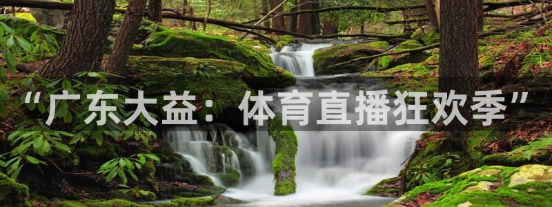 山猫体育免费观看