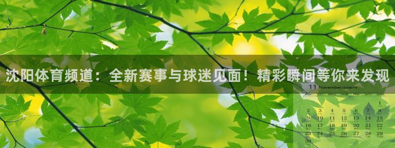 山猫体育足球免费
