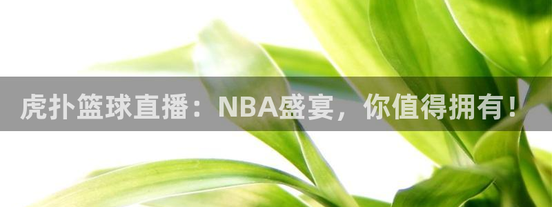 山猫直播体育免费直播